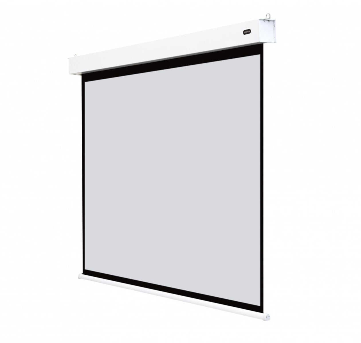 Celexon Electric Professional Plus Battery Powered Screen